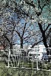 20090331144126.jpg