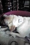 20090501085635.jpg