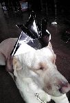 20090505171619.jpg
