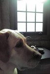 20090606074034.jpg
