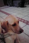 20090903165443.jpg