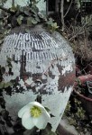 20100204140659.jpg