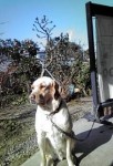 20100205101740.jpg