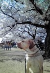 20100403153630.jpg