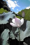 20100805133747.jpg