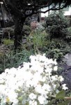20100810083442.jpg