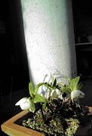 20110305153032.jpg