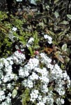 20110405102331.jpg