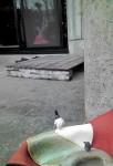 20120303141847.jpg